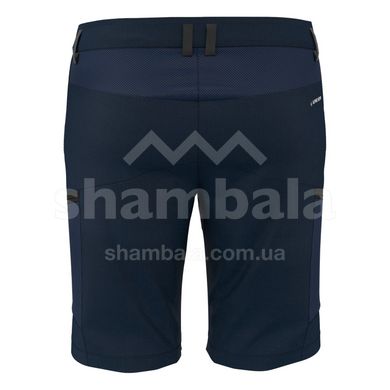 Шорти чоловічі Salewa Alpine Hemp Men's Cargo Shorts, Blue, 50 / L (280333960)