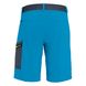 Шорты мужские Salewa Pedroc Cargo 2 Durastretch Men's Shorts, Blue, 46/S (013.002.8014)