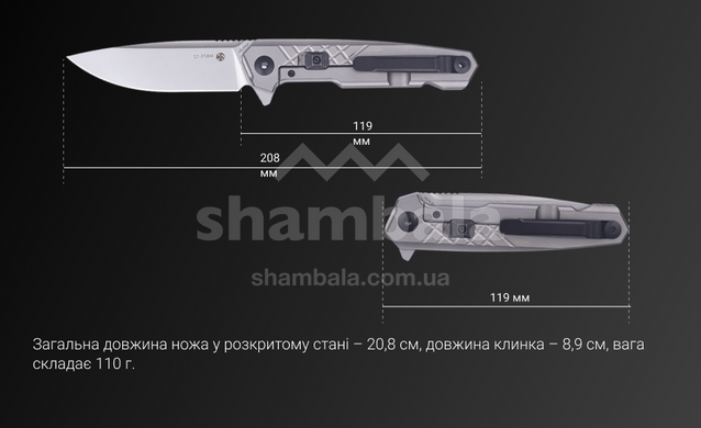 Нож складной Ruike M875-TZ, Silver (M875-TZ)