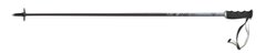 Палки трасовые горнолыжные универсальные Fischer RC One Lite CF, 120 см (Z32720)