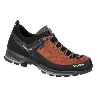 Кросівки чоловічі Salewa MS MTN Trainer 2 GTX, Brown, р.41 (61356 7519 - 41)