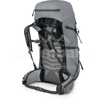 Рюкзак Osprey Talon Pro 40, Silver Lining, S/M (843820179293)