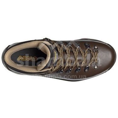 Ботинки мужские Asolo TPS 520 GV Chestnut, р. 43 2/3 (ASL A11012.A635-9.5)