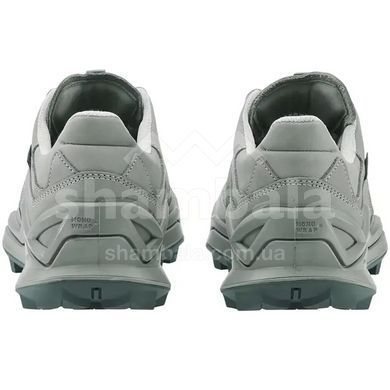 Кросівки трекінгові чоловічі LOWA Maddox Pro LT GTX, Grey/Grey, 41 (311527-9030-41.0)