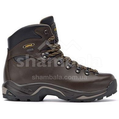 Ботинки мужские Asolo TPS 520 GV Chestnut, р. 43 2/3 (ASL A11012.A635-9.5)