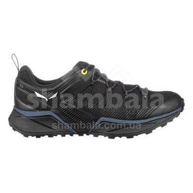 Кросівки чоловічі Salewa MS Dropline GTX, 41 - Black (SLW 61366.0978-41)