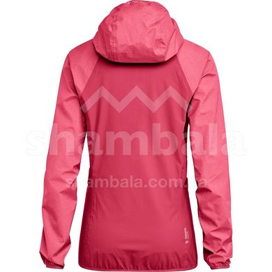 Женская куртка Salewa AGNER PTX 3L, L - Horny (4053866164207)