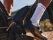 Шкарпетки Compressport Pro Racing Socks V4.0 Bike, Primrose/Columbia, T2 (XU00049B 380 0T2)