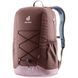 Рюкзак Deuter Gogo, 25 L, Raisin/Grape (DTR 3813224.6509)