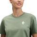 Футболка жіноча Black Diamond W Equipment For Alpinist SS Tee, Laurel Green, L (BD 7301923053LRG1)