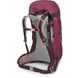 Рюкзак жіночий Osprey Sirrus 36, Elderberry Purple/Chiru Tan, O/S (843820177244)