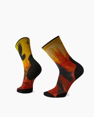 Шкарпетки чоловічі Smartwool Athlete Edition Run Raven Print Crew, Tandoori Orange, р.L (SW SW001539.823-L)