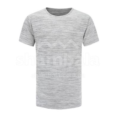 Мужская футболка Alpine Pro Viar, L - Gray (MTSX588 779)