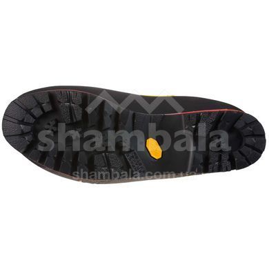 Черевики жіночі La Sportiva Nepal Cube GTX, Ice, 38 (LS 21L001001-38)