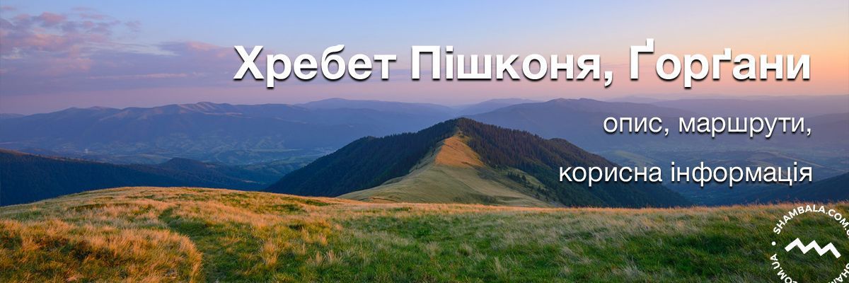 Хребет Пішконя, Ґорґани: опис, маршрути, корисна інформація