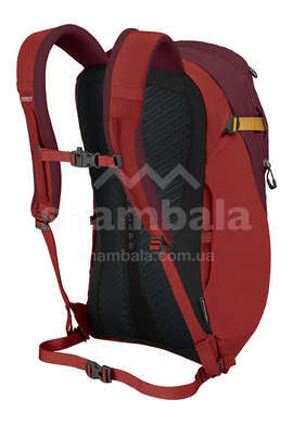 Рюкзак Osprey Apogee, Zircon Red, O/S (843820124552)