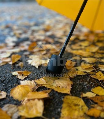 Зонтик Ultra-Sil Trekking Umbrella Black, 96.5 х 24.1 см от Sea to Summit (STS AUMBBK)