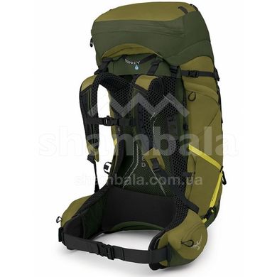 Рюкзак Osprey Atmos AG LT 65 Scenic Valley/Green Peppercorn, L/XL (009.3279)