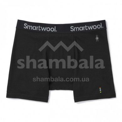 Трусы мужские Smartwool Merino Sport 150 Boxer Brief Black, р.L (SW 16202.001-L)