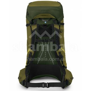 Рюкзак Osprey Atmos AG LT 65 Scenic Valley/Green Peppercorn, L/XL (009.3279)