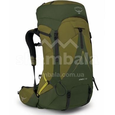 Рюкзак Osprey Atmos AG LT 65 Scenic Valley/Green Peppercorn, L/XL (009.3279)