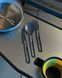 Набір столових приборів Sea to Summit Frontier UL Cutlery Set, виделка, ніж, ложка (STS ACK034021-121702)