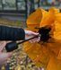 Зонтик Ultra-Sil Trekking Umbrella Black, 96.5 х 24.1 см от Sea to Summit (STS AUMBBK)