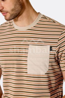 Футболка мужская Rab Rivelin Stripe Tee, Iris Stripe, M (RB QCC-35-IRS-MED)