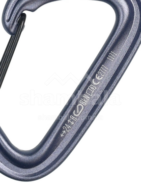 Карабін Black Diamond LiteWire, Grey (BD 210234.1003)