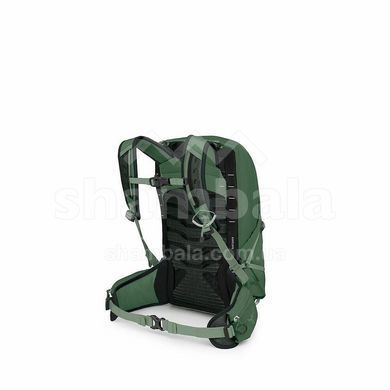 Рюкзак Osprey Talon 11, Green Canopy/Pine Leaf, O/S (810165740198)