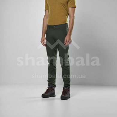 Штани чоловічі Salewa Fanes Light Pant, Olive, 50/L (SLW 28835.5280-50/L)