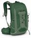 Рюкзак Osprey Talon 11, Green Canopy/Pine Leaf, O/S (810165740198)
