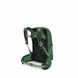 Рюкзак Osprey Talon 11, Green Canopy/Pine Leaf, O/S (810165740198)