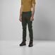 Штани чоловічі Salewa Fanes Light Pant, Olive, 50/L (SLW 28835.5280-50/L)