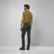 Штани чоловічі Salewa Fanes Light Pant, Olive, 50/L (SLW 28835.5280-50/L)