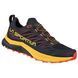 Кросівки чоловічі La Sportiva Jackal, Black/Yellow, 42 (LS 46B999100-42)