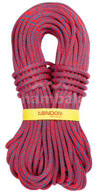 Динамическая веревка Tendon Ambition 10.5 STD 50 м (TND D105TA41S050C)