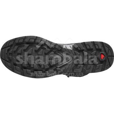 Черевики чоловічі Salomon Quest 4 GTX, Magnet/Black/Quarry, 44 (SLM s412926-9,5)