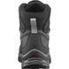 Черевики чоловічі Salomon Quest 4 GTX, Magnet/Black/Quarry, 44 (SLM s412926-9,5)