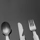 Набір столового приладдя Fire Maple Antarcti Utensils Set, Grey (FM Utensils)