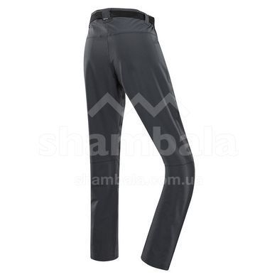 Штани чоловічі Alpine Pro CORB, grey, 54-LN (MPAC672779 54-LN)