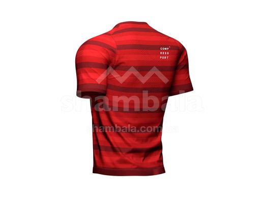 Мужская футболка Compressport Performance SS Tshirt, Red, M (AM00015B 300 00M)