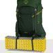 Рюкзак Osprey Ace 50, Blue Spikemoss/Deep Peyto, O/S (843820196474)