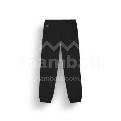 Штани жіночі Picture Organic Cocoon W, black, L (3663270856929)