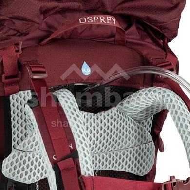 Рюкзак женский Osprey Aura AG LT 65, Koseret/Darjeeling Spring Green, WM/L (843820148893)