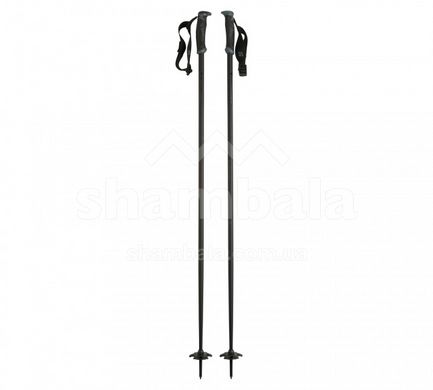 Палки лыжные Black Diamond Fixed length aluminum, 125 см (BD 111554-125)