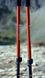 Треккинговые телескопические палки Black Diamond Trail Ergo Cork, 69-140 см, Picante (BD 112506.6006)