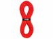 Статична мотузка Tendon Static 10.0 STD, Red, 100 м, (TND L100TS42S100R)