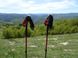 Треккинговые телескопические палки Black Diamond Trail Ergo Cork, 69-140 см, Picante (BD 112506.6006)