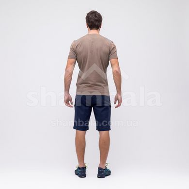 Шорты мужские Salewa Alpine Hemp Men's Cargo Shorts, Blue, 50/L (280333960)